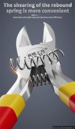 1765821054637.jpeg 1765821054637.jpeg