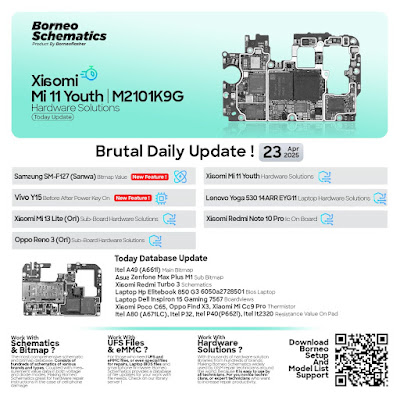 Daily Borneo Schematics: Xiaomi Mi 11 Youth Daily Borneo Schematics: Xiaomi Mi 11 Youth