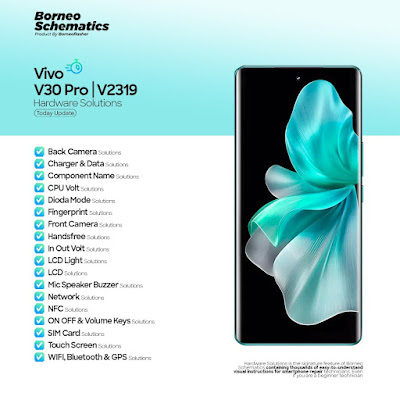 Daily Borneo Schematics: Vivo V30 Pro Daily Borneo Schematics: Vivo V30 Pro